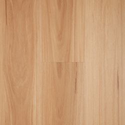 Blackbutt