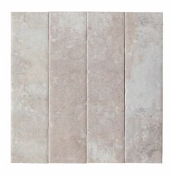 Colour – Bone