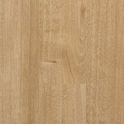 Colour – European Oak