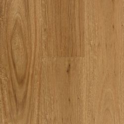 Colour – Blackbutt