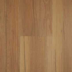 Colour – Classic Spotted Gum