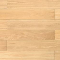 Colour – Blackbutt
