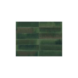 Colour – Forest