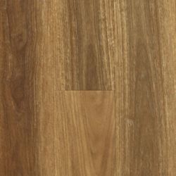 Colour – Spotted Gum