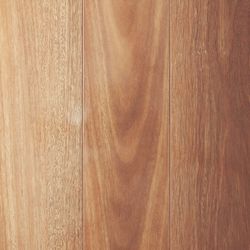 Colour – Mountain Spotted Gum