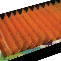 Color – Orange