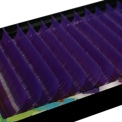 Color – Violet