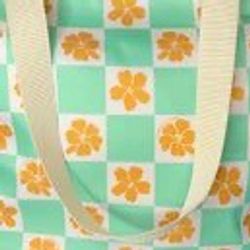 Turquoise Checker