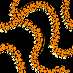 Design – Kula Black & Orange