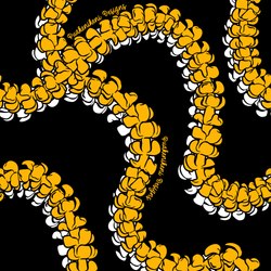Design – Kula Black & Gold