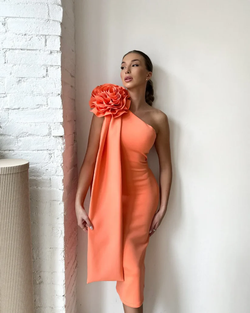 Culori – Roz somon