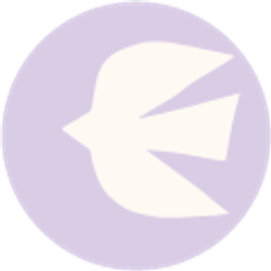 COLORIS – DOVE BLOOM