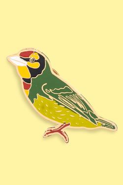 Design – Coppersmith Barbet