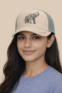 Color – Elephant