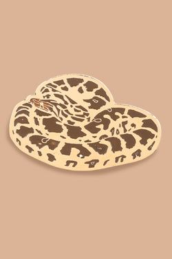 Design – Indian Rock Python