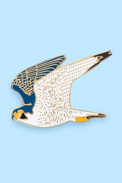 Design – Peregrine Falcon