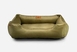 Color – Olive
