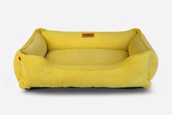 Colors – Yellow