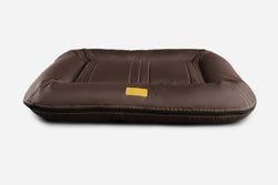 Colors – Brown