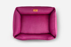 Colors – Berry