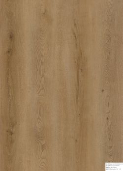Color – Honeyed Oak