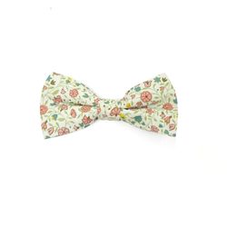 Boy's Bow Tie