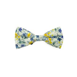 Boy's Bow Tie