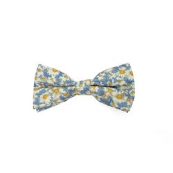 Boy's Bow Tie