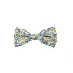 Boy's Bow Tie