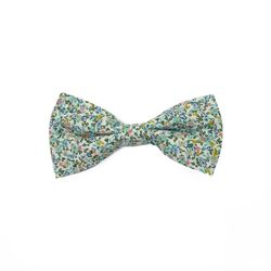 Boy's Bow Tie