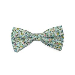 Men's Bow Tie