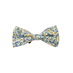 Men's Bow Tie