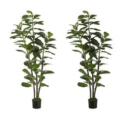 Qty – 2 Pcs