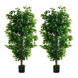 Qty – 2 Pcs