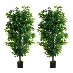Qty – 2 Pcs