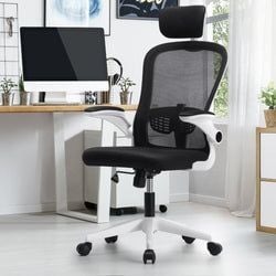 Color – White-Black