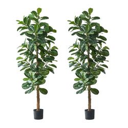 Qty – 2 Pcs