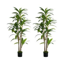 Qty – 2 Pcs