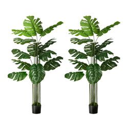 Qty – 2 Pcs
