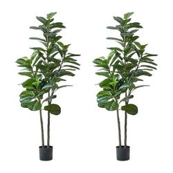 Qty – 2 Pcs