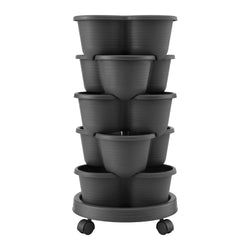 Color – Black