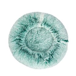 Color – Teal