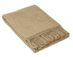 Color – Camel