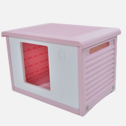Color – Pink