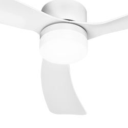 Color – White