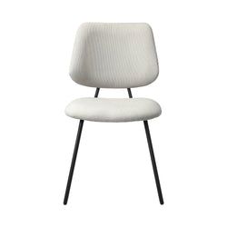 Color – Polyester White