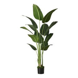 Qty – 1 Pcs