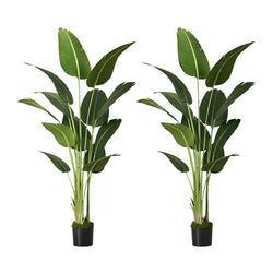 Qty – 2 Pcs