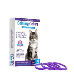 Color – Purple
