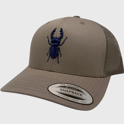 Style – Grey with blue Bug